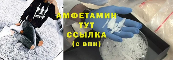 индика Абаза