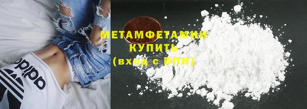 индика Абаза