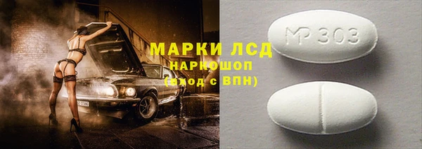 индика Абаза