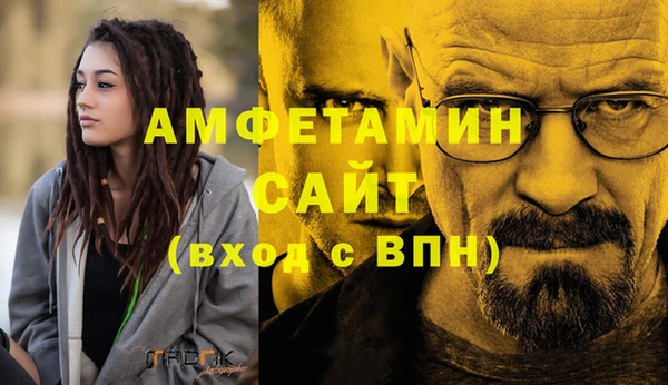 индика Абаза