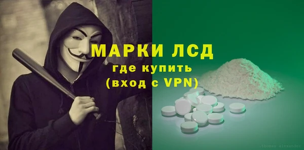 индика Абаза