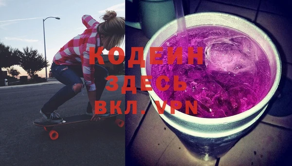индика Абаза