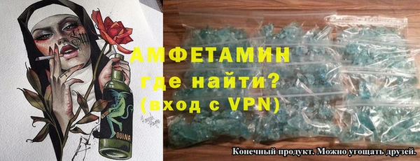 индика Абаза