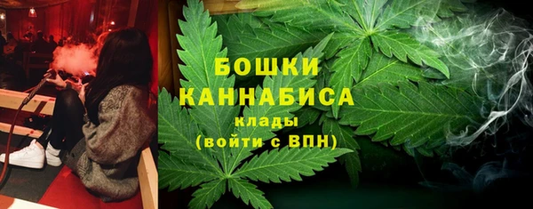 крисы Абдулино