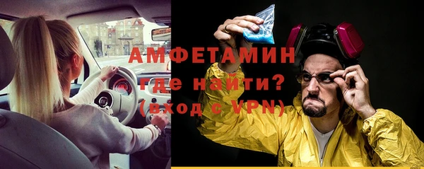 индика Абаза