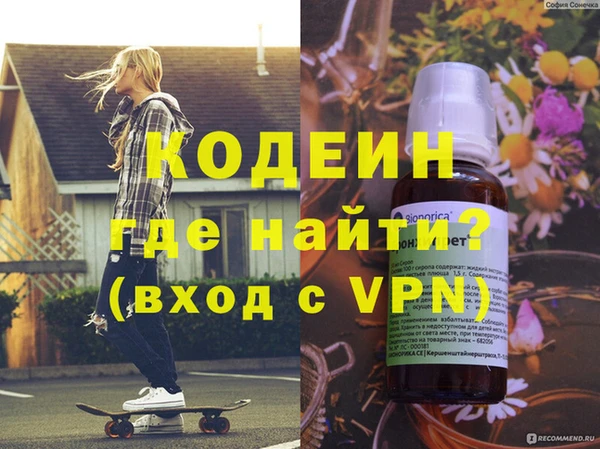 индика Абаза