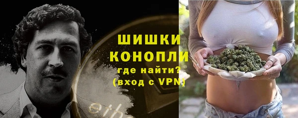 индика Абаза