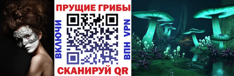 Псилоцибиновые грибы Psilocybine cubensis Юрга